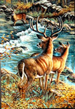 Deer Creek Crossing - Art Print